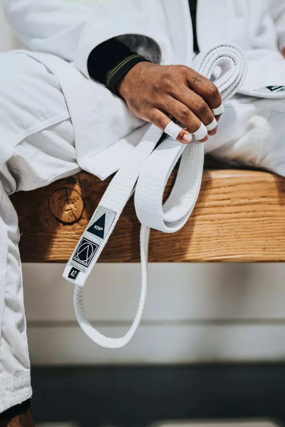 Photo -judo plaquette WH