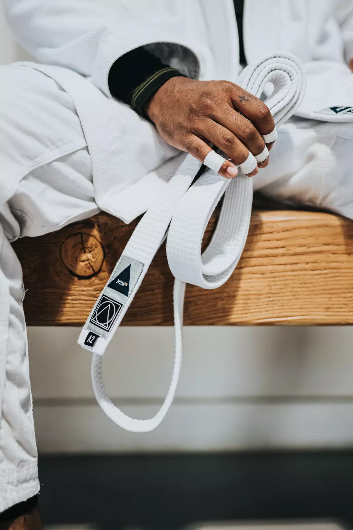 Photo -judo plaquette WH