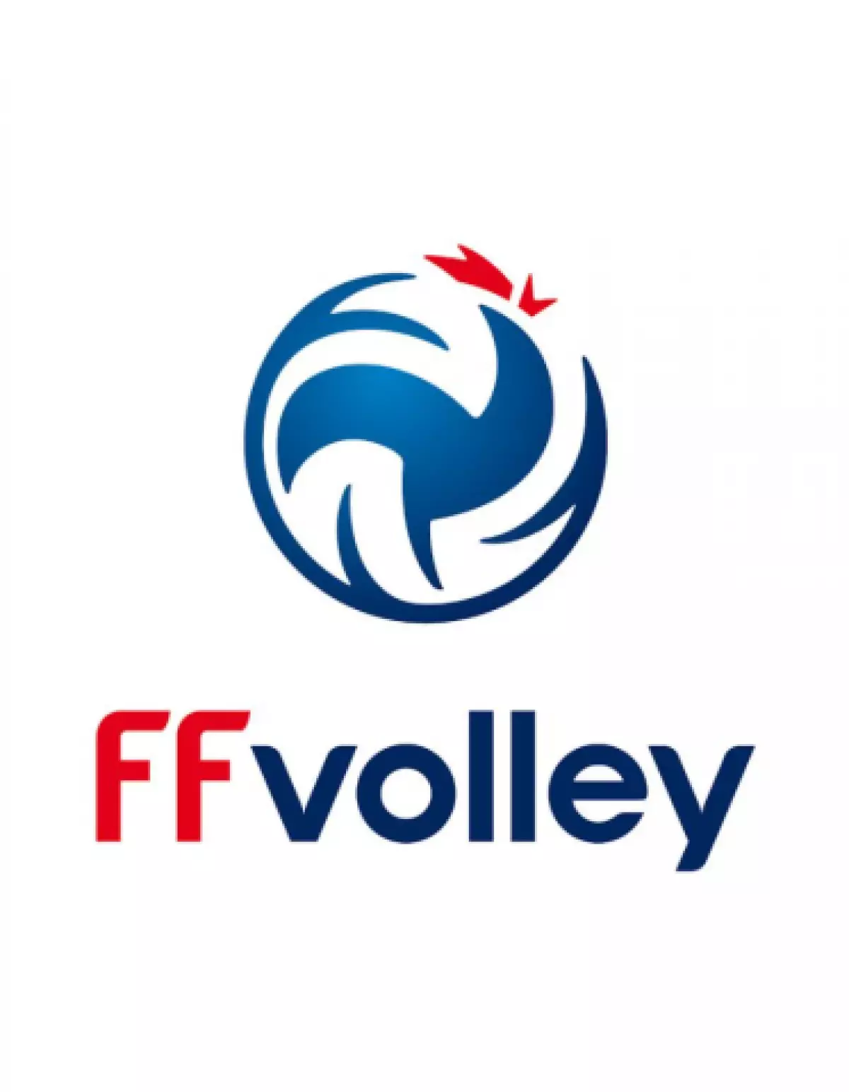 Fédération Française de Volley (FFV)